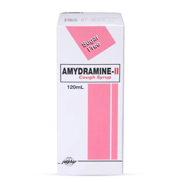 AMYDRAMINE II SUGAR FREE SYRUP 120 ML