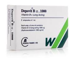 DEPOVIT B 12 - 1000 2AMP