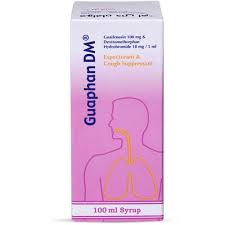 GUAPHAN DM SYRUP 100 ML