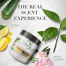 هيربال ماسك الصبارو الافوكادو 250 مل