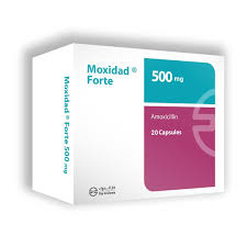 MOXIDAD FORT 500 MG 20 CAP