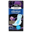 ALWAYS DEREAMZZZ NIGHT LONG 12 X 20 1 Pack