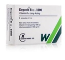 DEPOVIT B 12 - 1000 2AMP