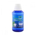 ORA DENT MOUTH WASH 300 ML